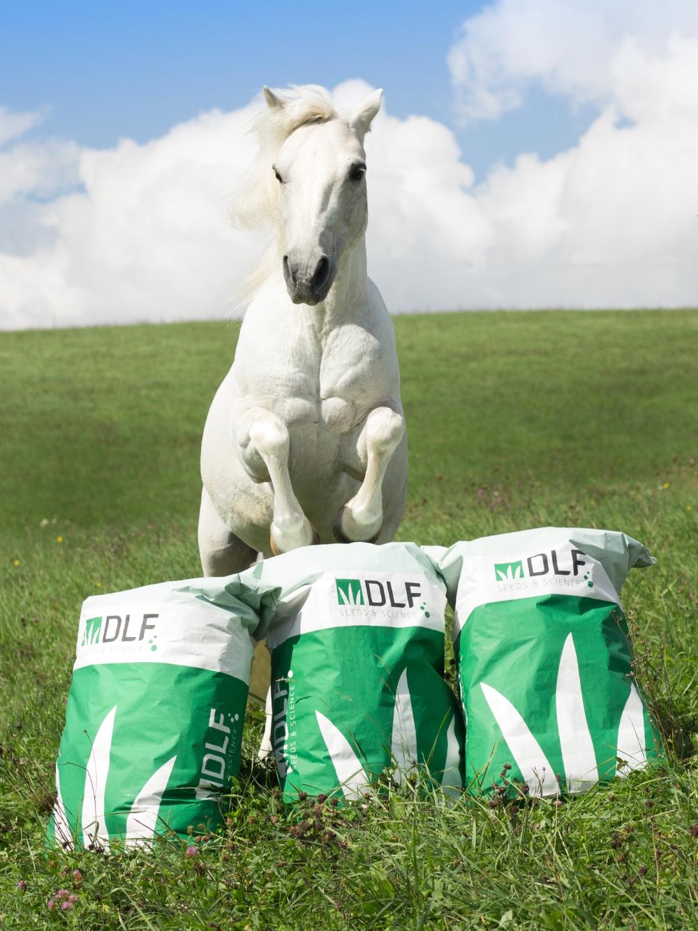 HorseMax pro koně